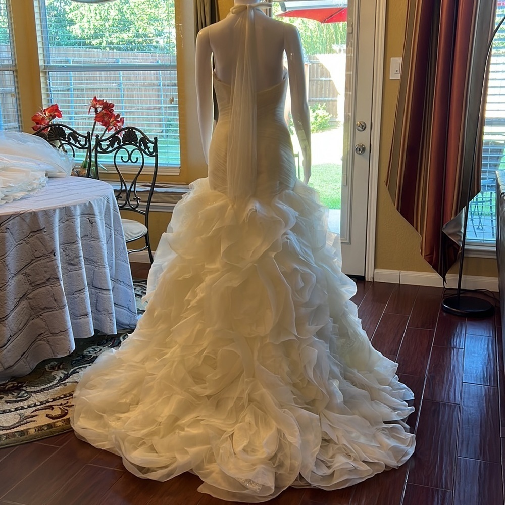 Vera Wang wedding gown from David Bridal. Brand new with tag - Picture 11 of 14